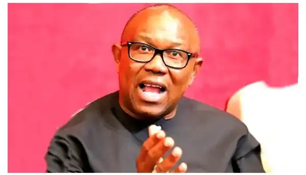 Doyin Okupe: Why Peter Obi Dumped PDP, Withdrew From Presidential Race