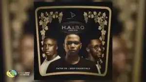 Fatso 98 & Deep Essentials – HAIBO (VSOP Mix)