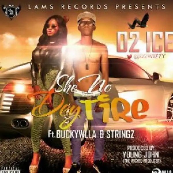 02 Ice - She No Dey Tire Ft. Buckwilla & Stringz