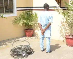 Kwara: NSCDC nabs 22-year-old suspected cable vandal