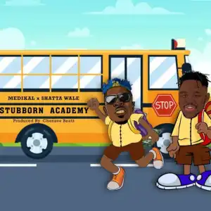 Medikal ft. Shatta Wale – Stubborn Academy