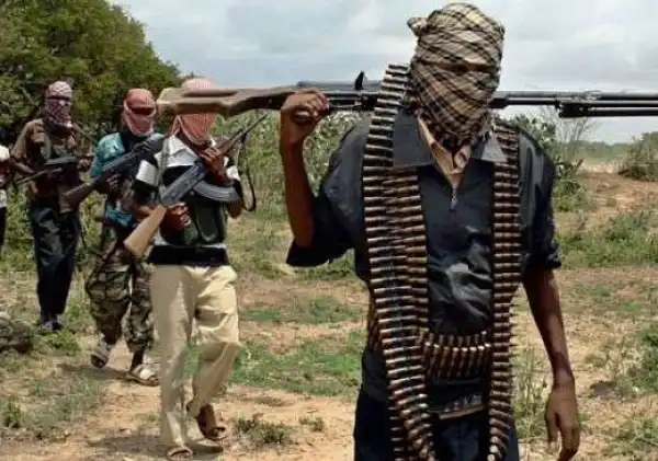 Bandits Open Fire In Kaduna, Kill 9, Abduct Many Others