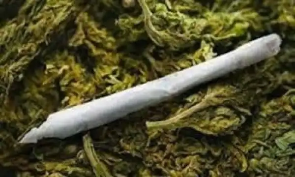 Two Indian Hemp Dealers Beat Colleague To Death Over N65,000 Theft In Kwara