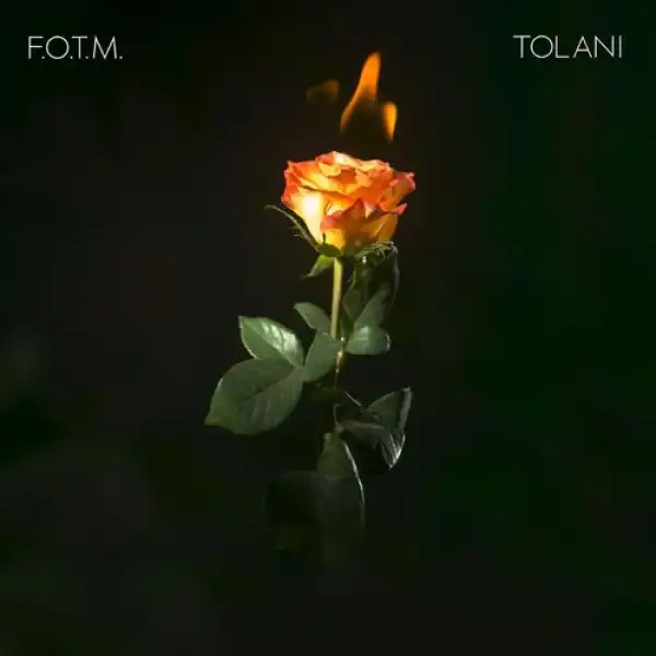 Tolani - Fire On The Mountain