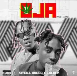 Small Baddo – Oja ft. C Blvck