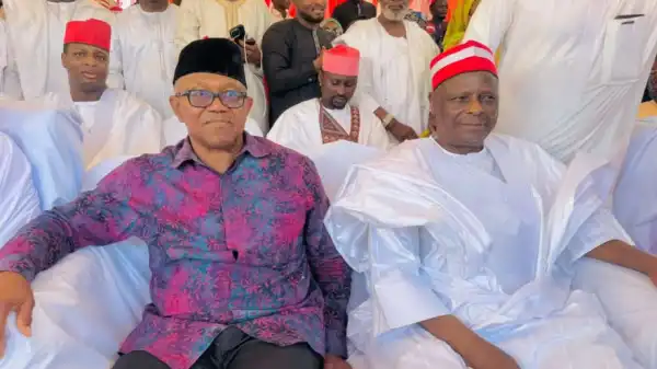 2027: Obi–Kwankwaso talks rekindle fresh plot to unseat Tinubu