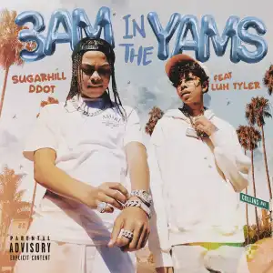 Sugarhill Ddot Ft. Luh Tyler – 3AM in the Yams