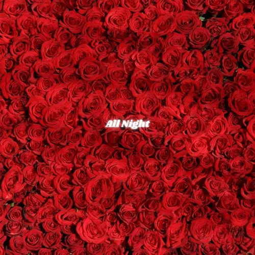 Lunga – All Night