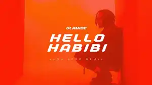 Olamide - Hello Habibi (KU3H Afro Remix)