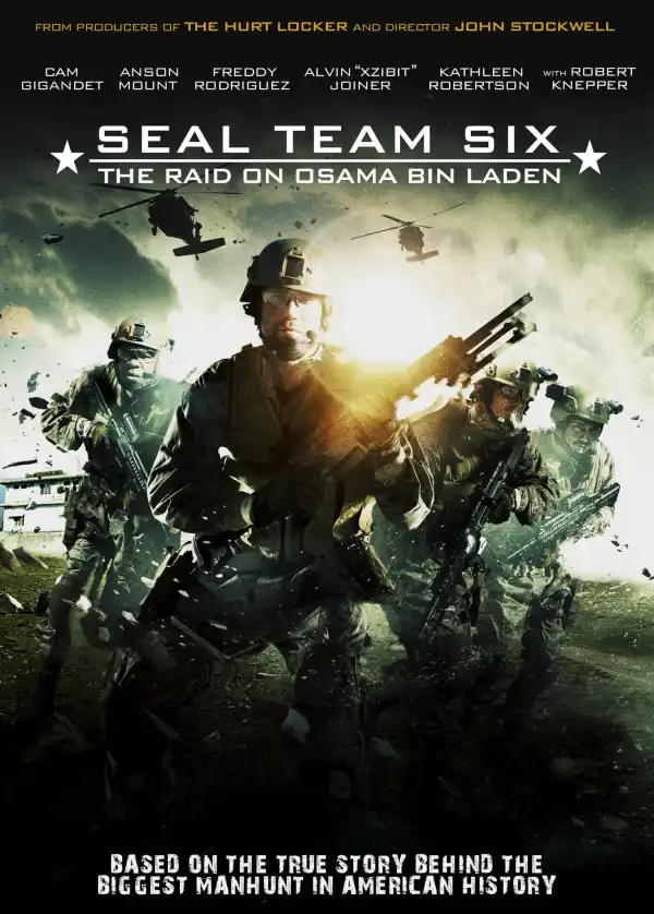 Seal Team Six The Raid On Osama Bin Laden (2012)