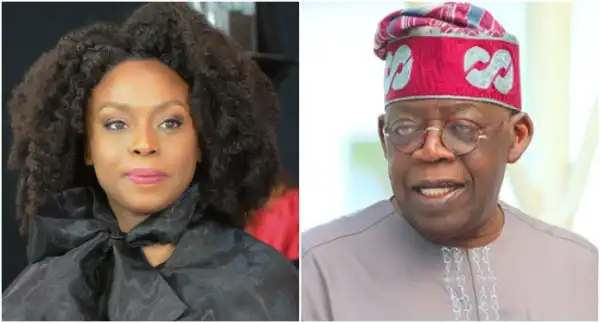 Anti-Tinubu Letter: NADECO Begs US President Biden to Ignore Chimamanda Adichie