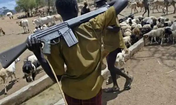 Suspected Herdsmen Kill Nine Farmers In Benue