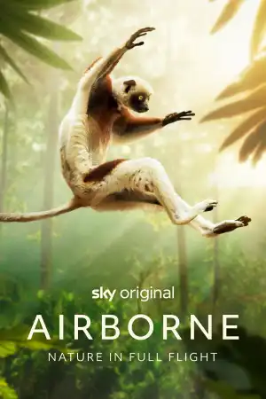 Airborne (2024 TV series)