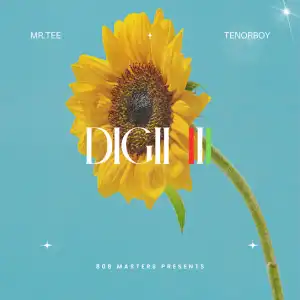 Mr.Tee & TENORBOY – DIGII III Ft. prod.chacha