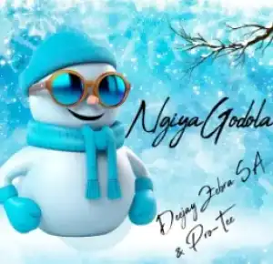 Deejay Zebra SA & Pro-Tee – Ngiya Godola