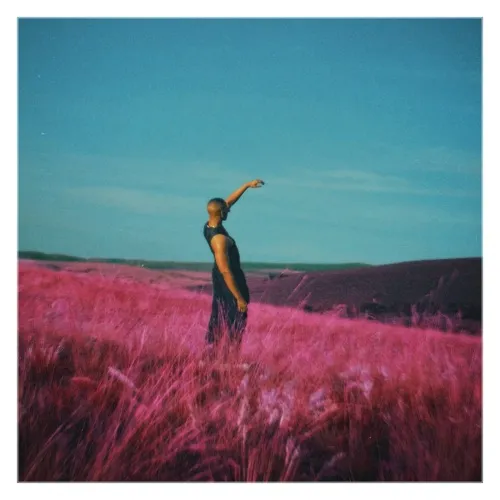 Sishii – A Night In The Hills (Album)