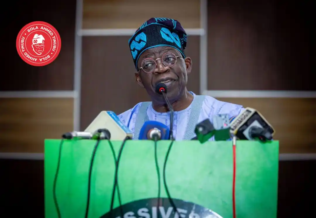 Kaduna, Niger Swell Rank Of States Endorsing Tinubu