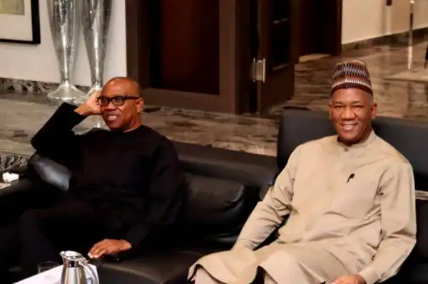 2023: Peter Obi Unveils Website For Donation, Campaign
