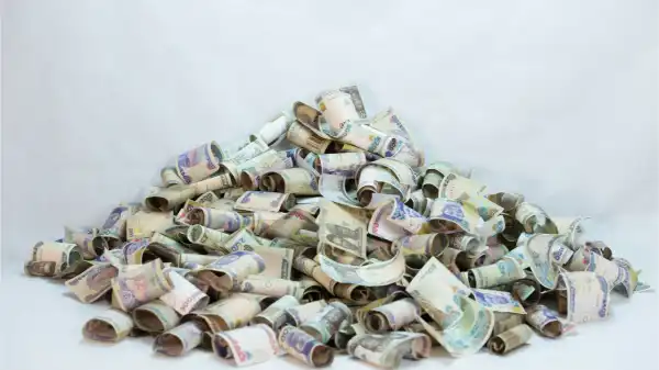 We Are Not Worried About the Naira’s Valuation – Emerging Markets Bitcoin News