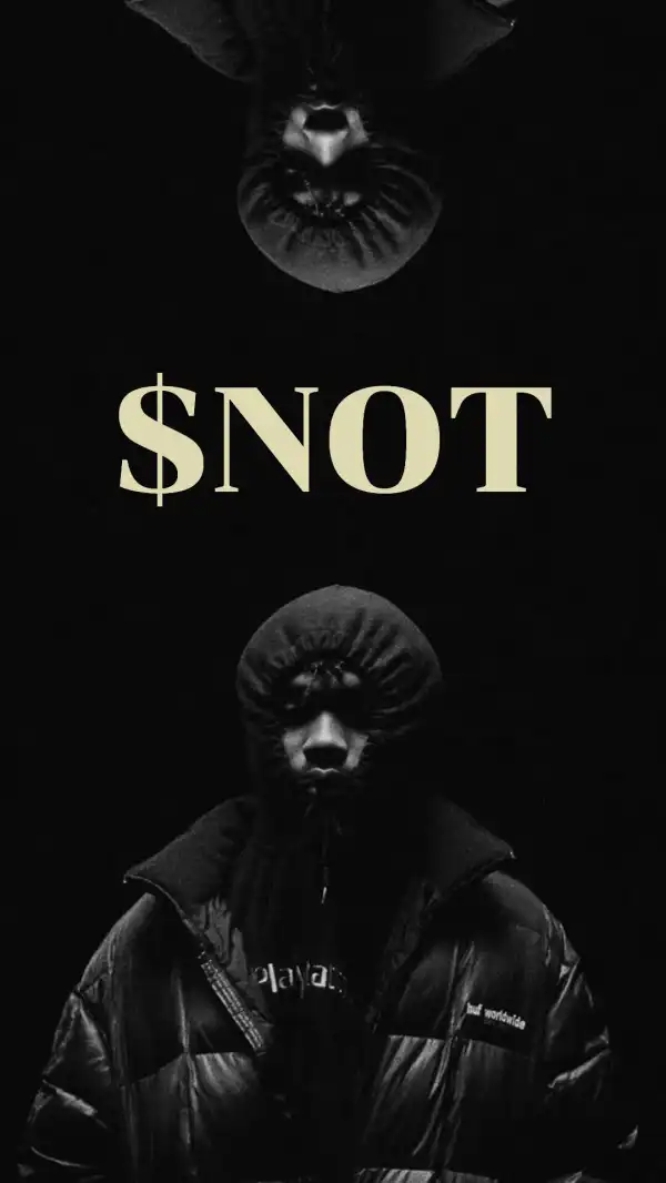 $NOT – Fly Shit
