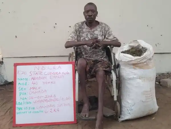 Physically Challenged Drug Dealer Arrested With 6.2kgs Of Cannabis In Edo