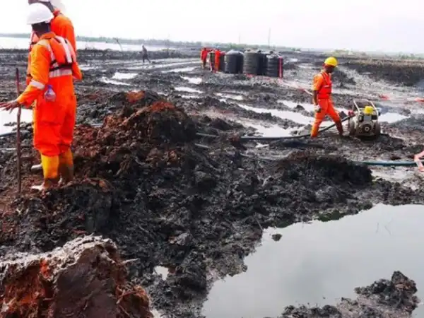 Stakeholders decry ‘politicisation’ of Ogoni clean-up process