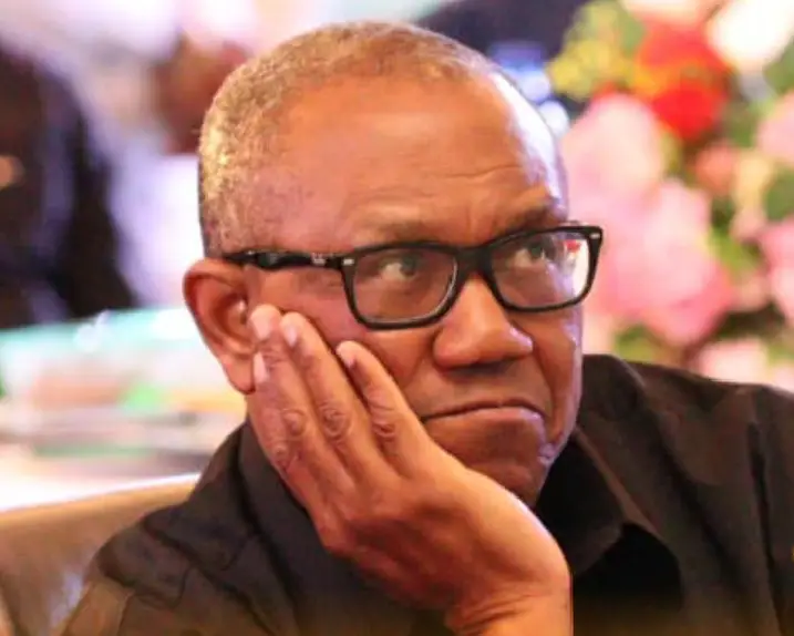 Peter Obi: Judiciary created crisis in Labour Party – Osuntokun
