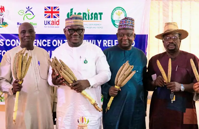 Millet varieties unveiled to combat hunger, malnutrition