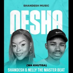 Shandesh & Nelly The Master Beat – Wa Khutisa