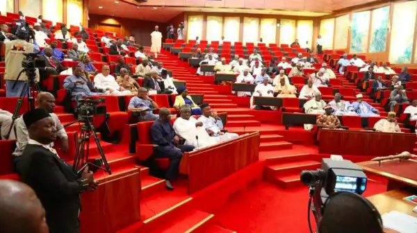 Senate Fixes Date to Vote On Amendment of 1999 Constitution