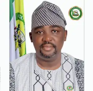 Ogun LG chairman suspends activities of Iyaloja in Mowe market over extortion