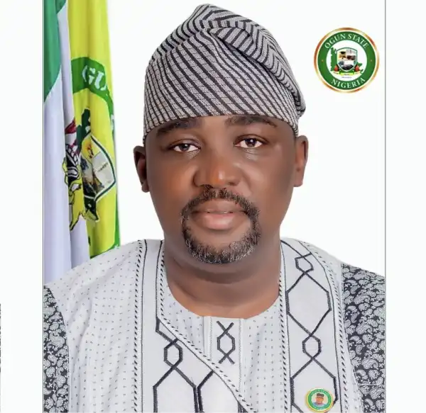 Ogun LG chairman suspends activities of Iyaloja in Mowe market over extortion