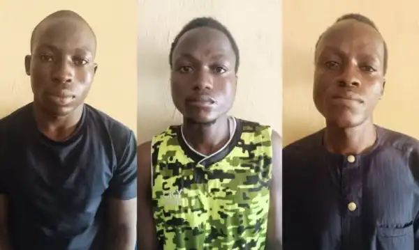 Three Armed Robbery Suspects Arrested In Jigawa