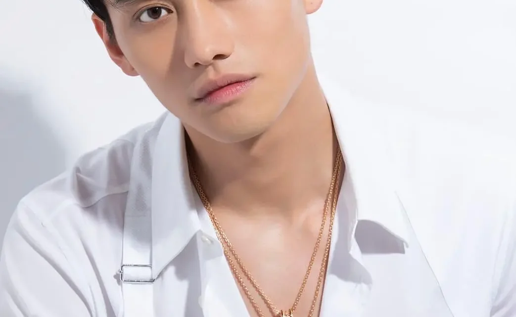 Age & Career Of Fandy Fan