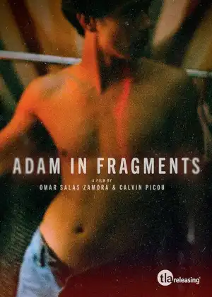 Adam in Fragments (TV series)