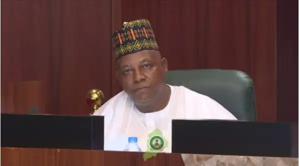 Military alone can’t solve Northwest’s security crisis — Shettima