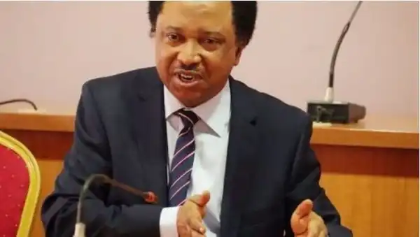 Shehu Sani Reveals Where Buhari Will Meet Dangiwa After 2023