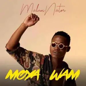 MalumNator – Aw’Yebo ft. De Mthuda, Ntokzin & MFR Souls