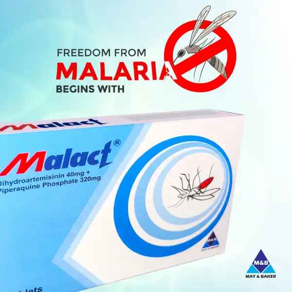 World Malaria Day: Malact Continues the Fight Against Malaria
