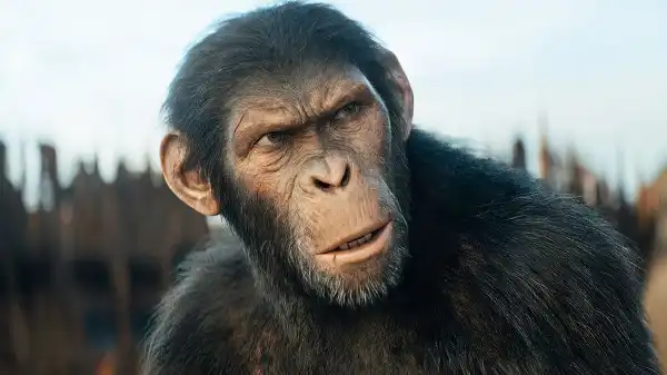 Kingdom of the Planet of the Apes Box Office Starts Strong Ahead of Weekend