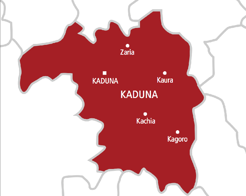 Panic in Kaduna village after suspected cattle rustlers’ attack, over 20 killed