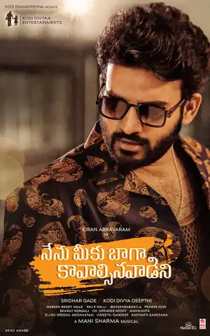 Nenu Meeku Baaga Kavalsinavaadini (2022) (Telugu)