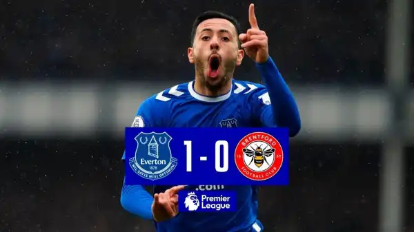 Everton vs Brentford 1 - 0 (Premier League 2023 Goals & Highlights)