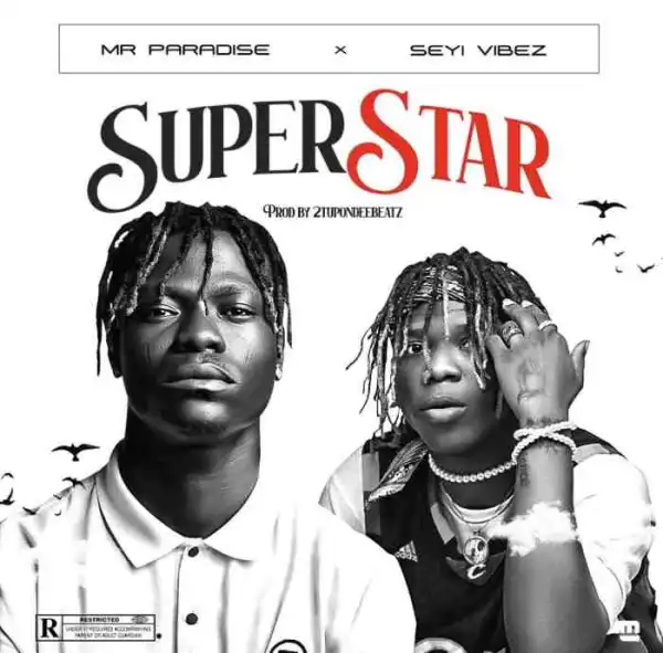 Mr Paradise Ft. Seyi Vibez – Superstar