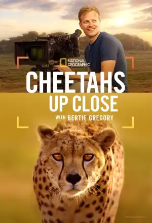 Cheetahs Up Close With Bertie Gregory (2026)