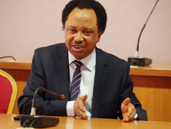 If You Talk Too Much, Your Body Go Tell You – Shehu Sani Reacts To Ningi’s Suspension