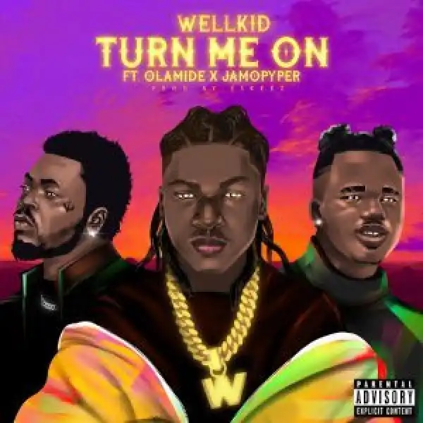 Wellkid Ft. Olamide & Jamopyper – Turn Me On