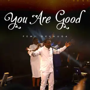 Femi Okunuga – You Are Good