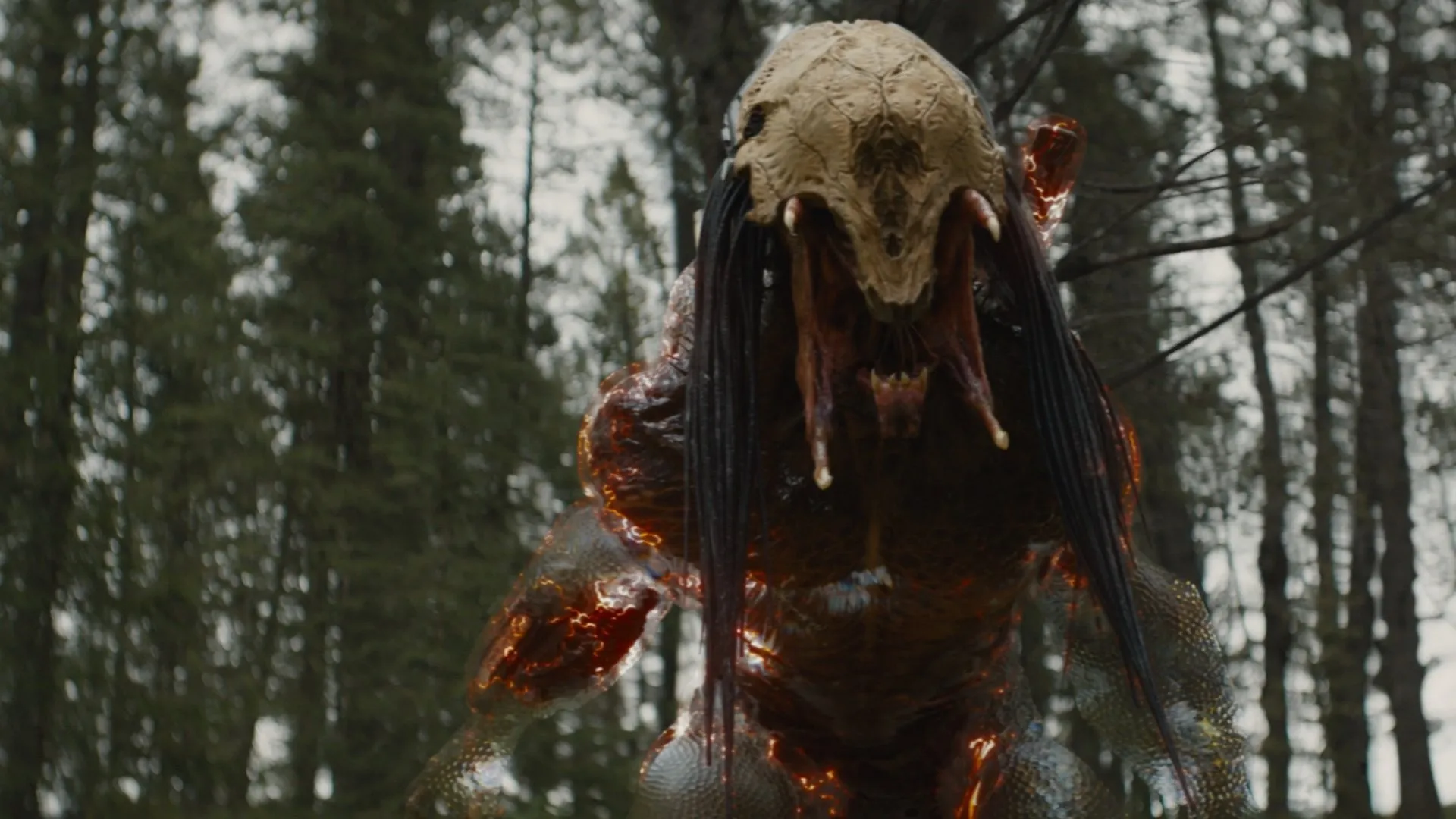 Secret Predator Movie Is Reportedly an Animated Anthology