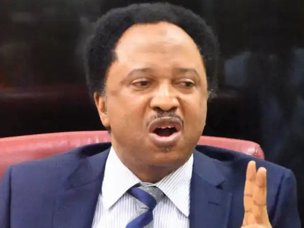 Aggrieved Nigerian Governors Should Join Sowore’s Party - Shehu Sani